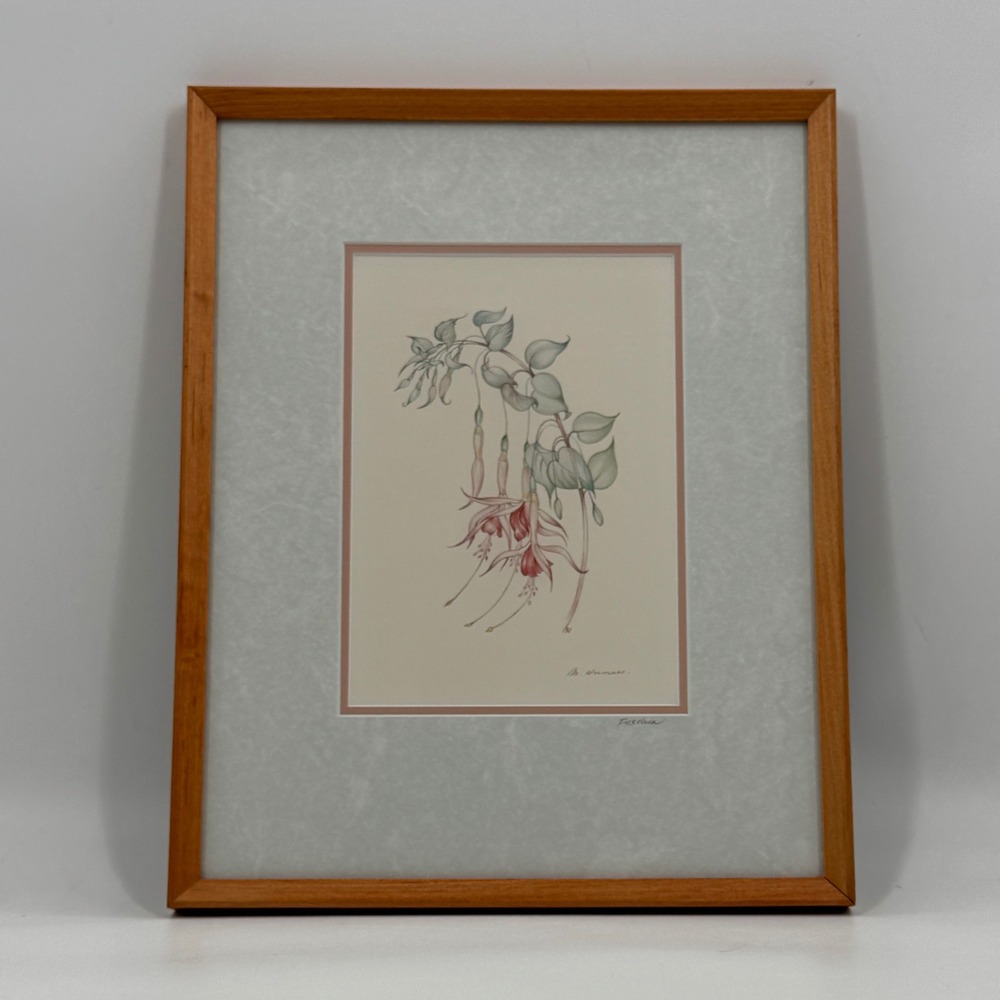 Margot Weemaes 1981 Fuchsia Botanical Portfolio Print